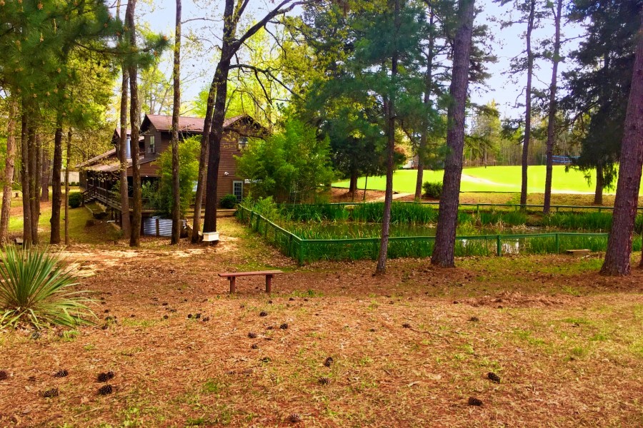 Shepherd's Pasture
