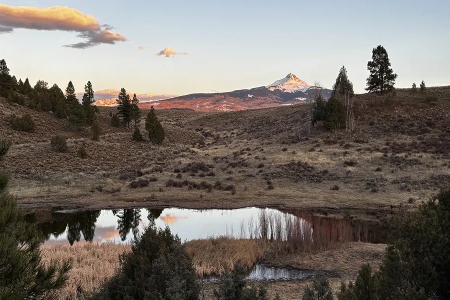 New Beginnings Ranch